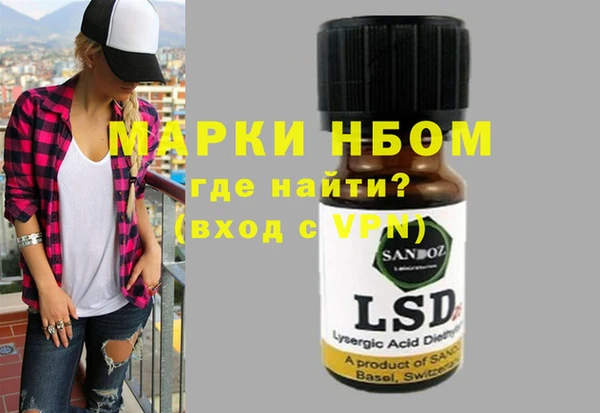 стаф Дегтярск
