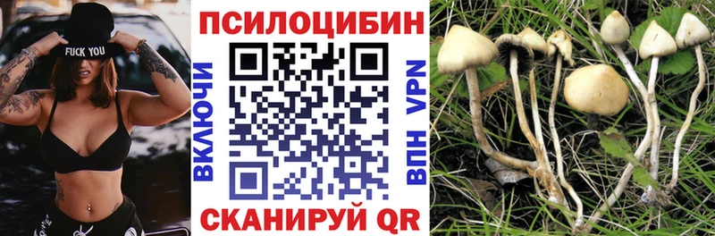 OMG как зайти  Трёхгорный  Псилоцибиновые грибы мухоморы 